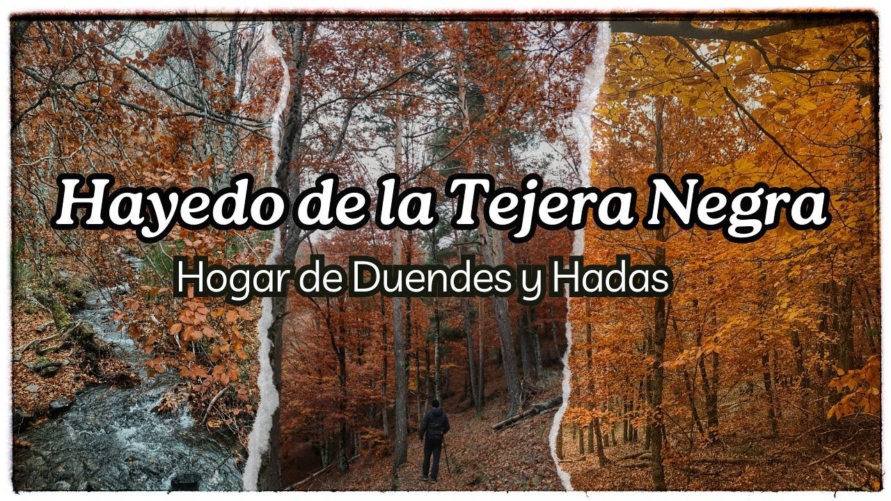 LA MAGIA 🧚 DEL OTOÑO 🍁 HAYEDO ENCANTADO 🧙‍♂️