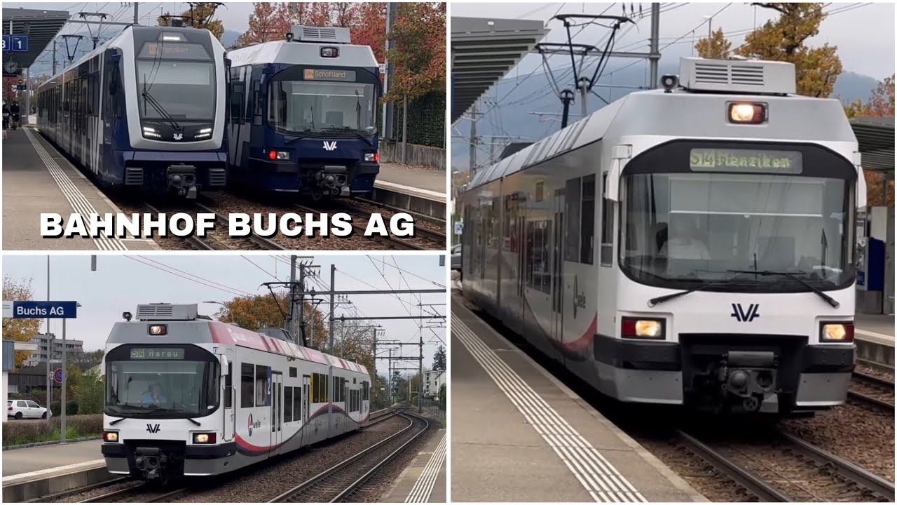 Züge beim Bahnhof Buchs AG | Trains at Buchs AG station (2024)