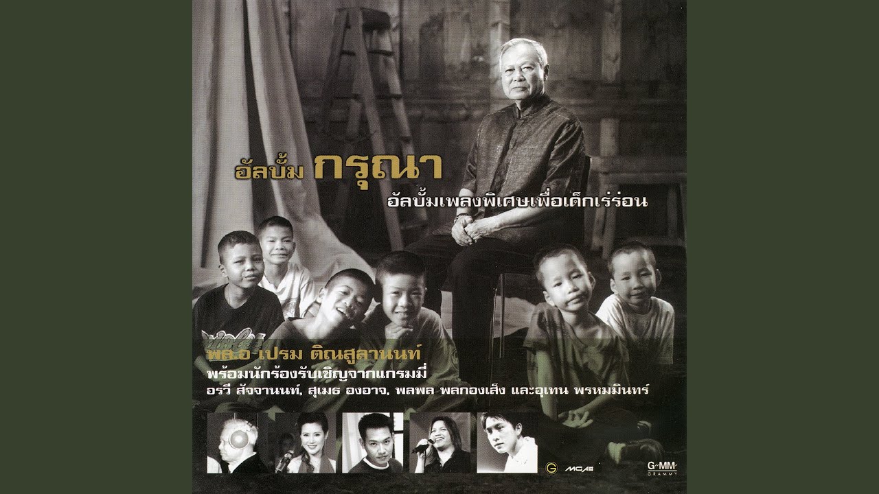 ตอบแทนบุญคุณแผ่นดิน