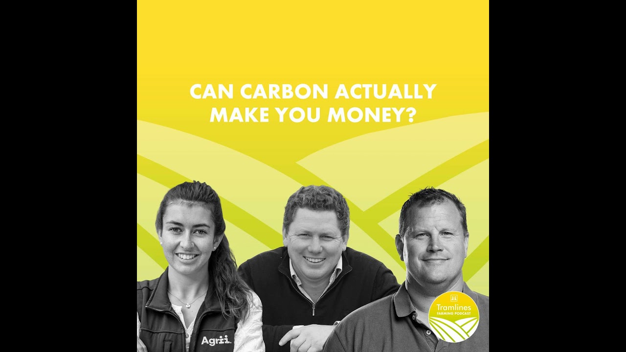 Can Carbon Actually Make you Money?