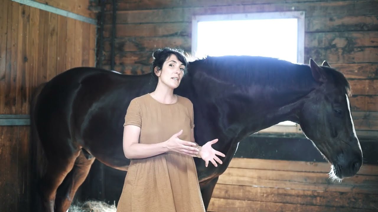 La kinésiologie animale, c'est quoi ?