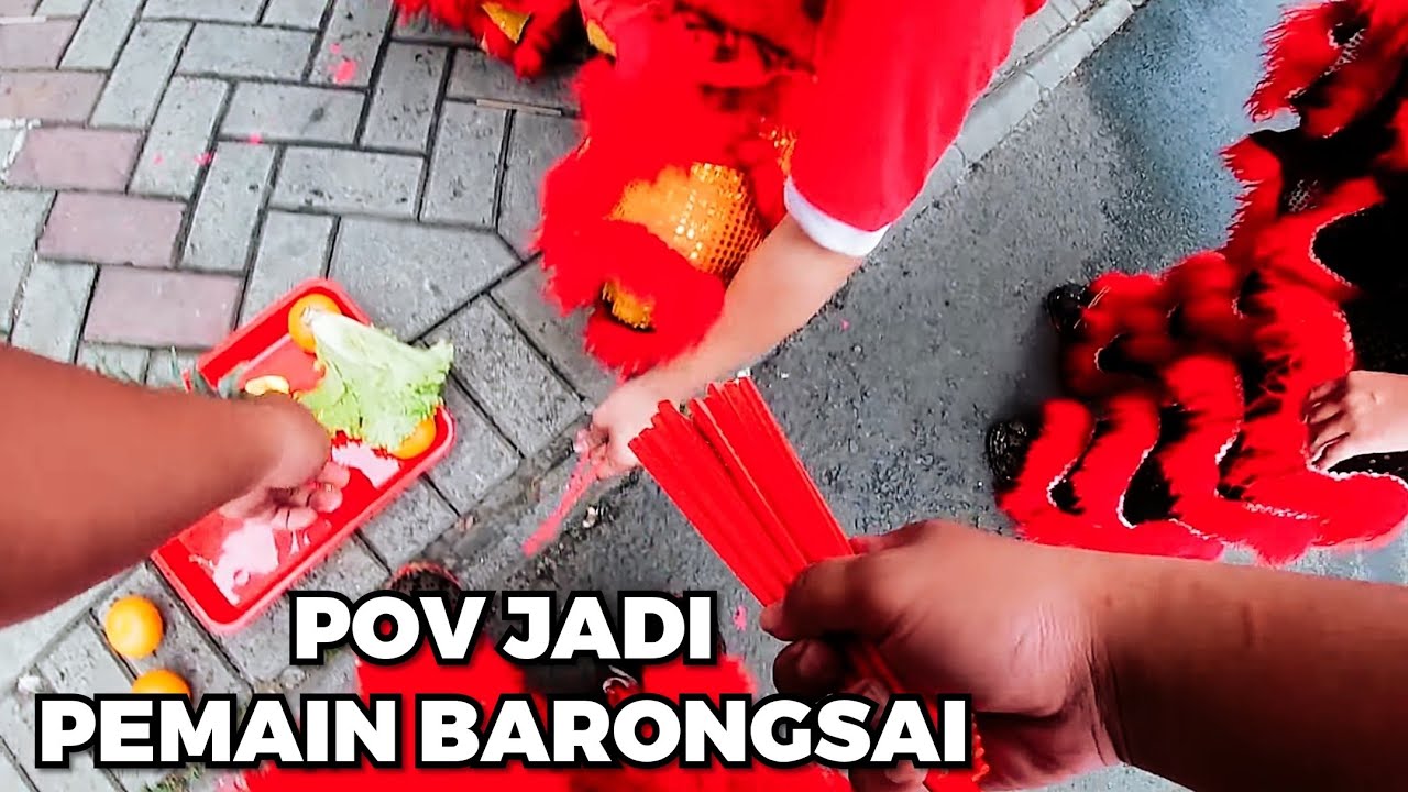 POV JADI PEMAIN KEPALA BARONGSAI TJO SU BIO