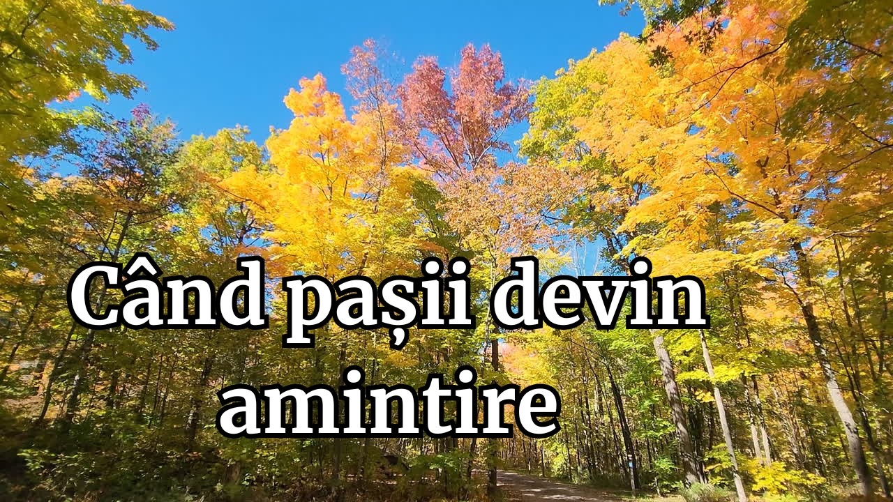 Când pașii devin amintire🕯️ | Cea Mai Emoționantă Melodie Despre Bătrânețe și Părinți  #dorsiritm