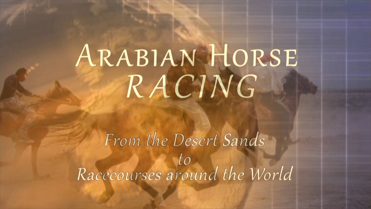 Arabian Horse Racing Documentary ~ From Desert Sands to Racecourses Around the World