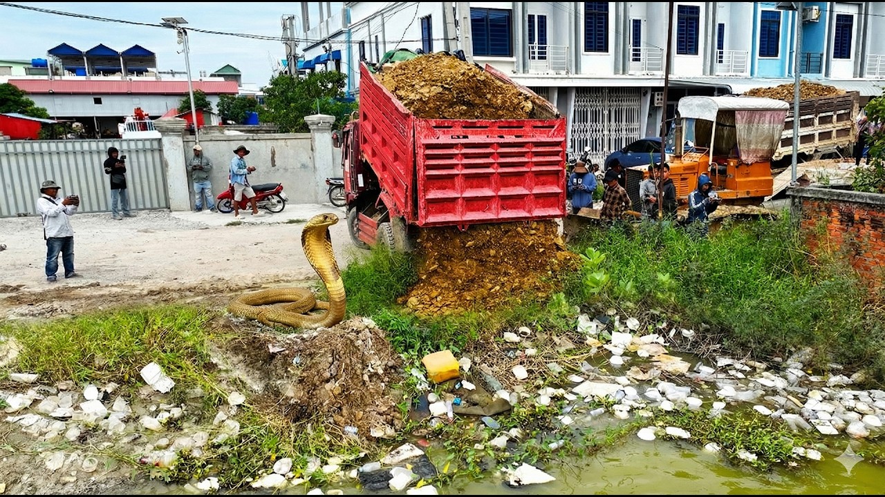 First Start Huge New Project! Landfill on Flooded Garbage Using Dozer D31P Pushing Stone Into Water