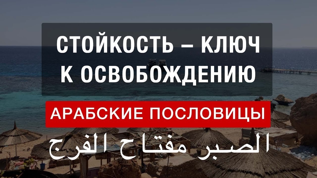 Восточная #мудрость . Арабская поговорка: «стойкость — путь к освобождению»!#арабскийязык #арабский