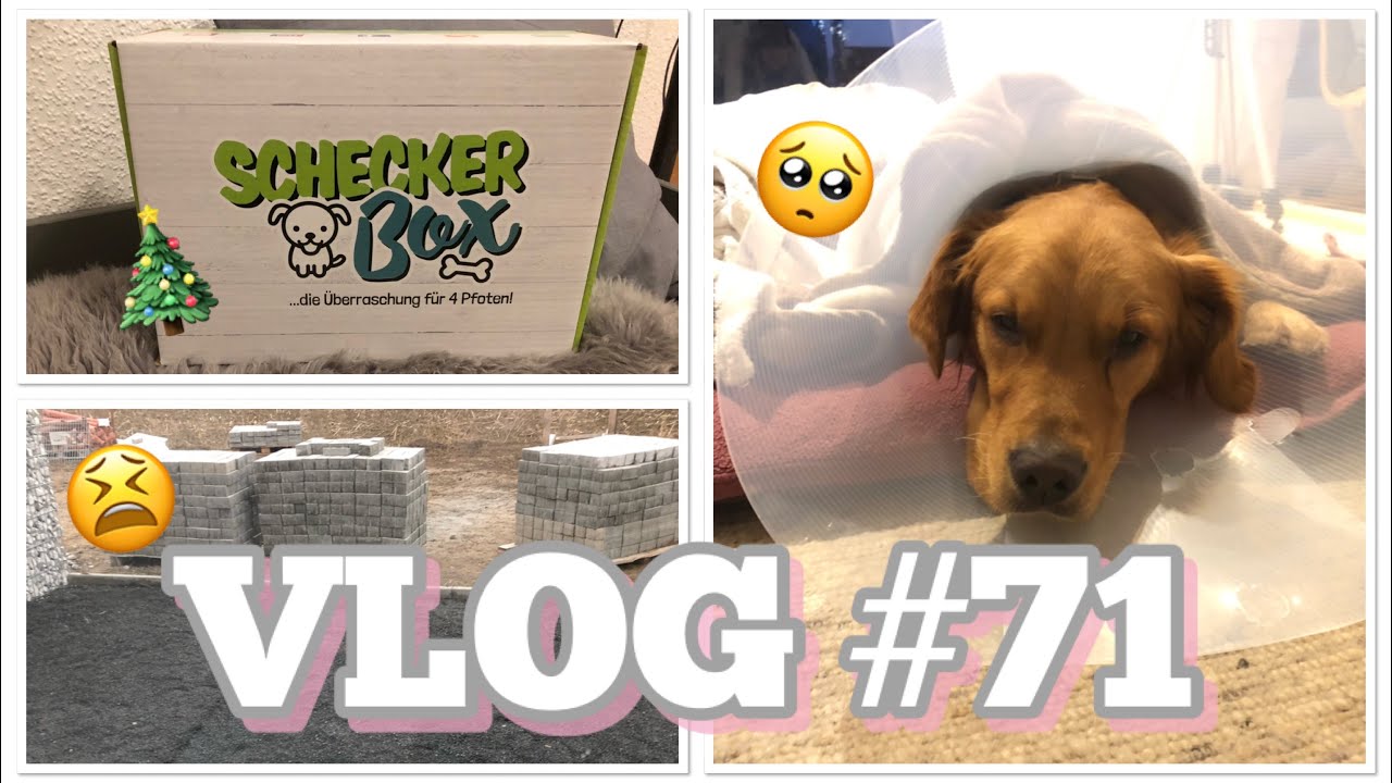 VLOG #71/ Aikos Kastration 😢/ Hausbaustress 🤯/ Schecker Box 🎄