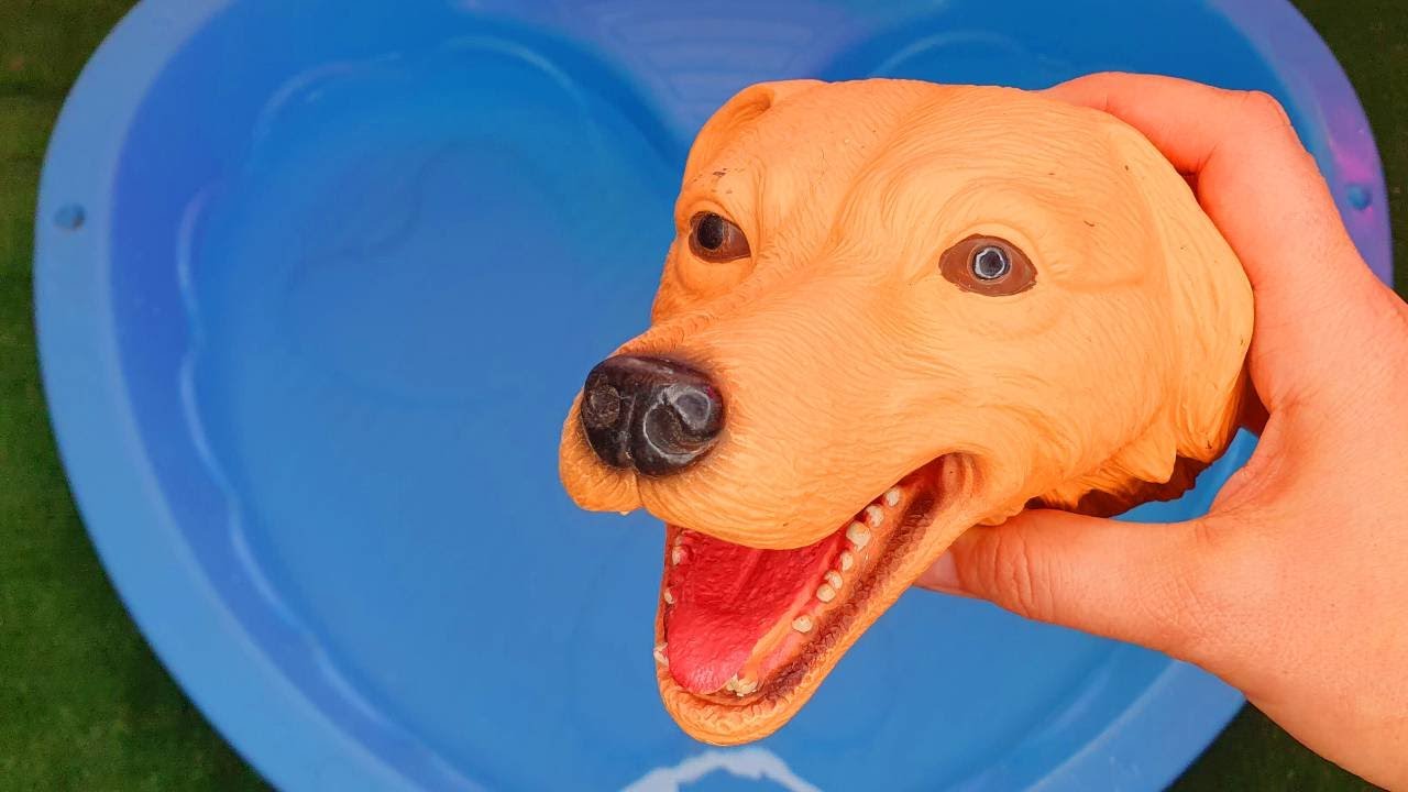 Best learning video for kids Dog Crocodile Tiger Horse Cow