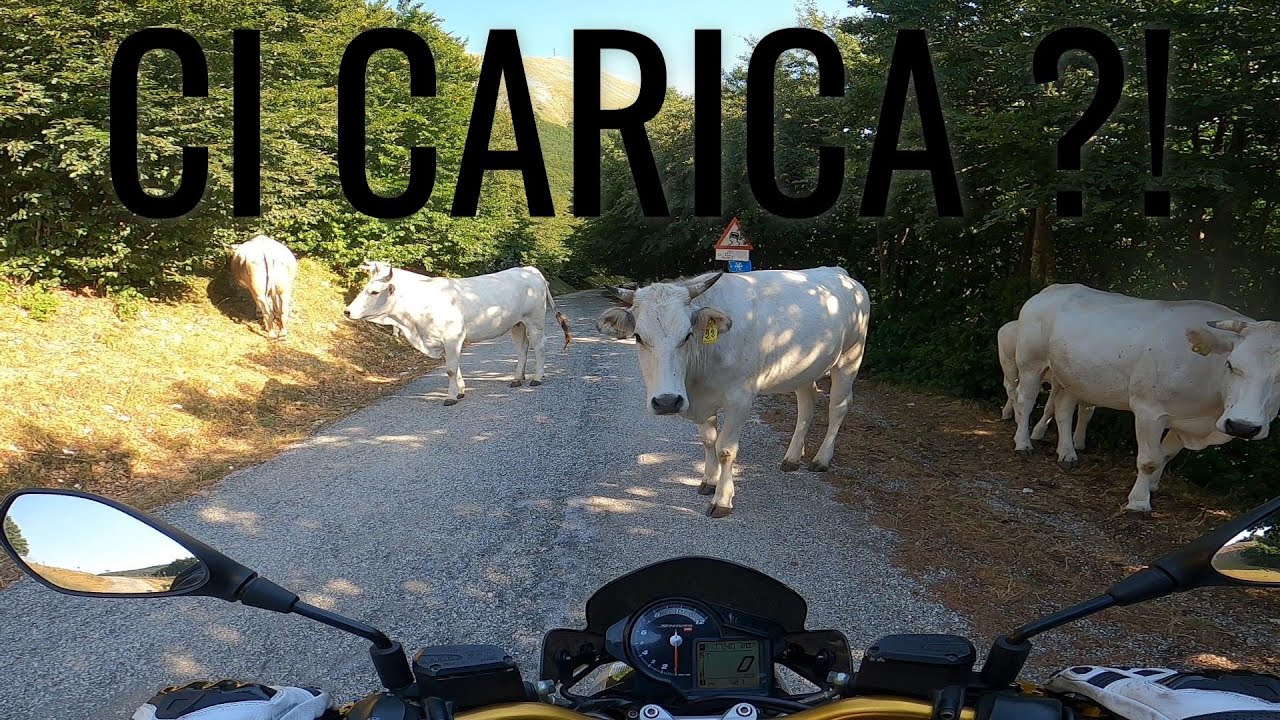 Scopriamo il Monte Catria in moto! bello, ma CHE PAURA!!