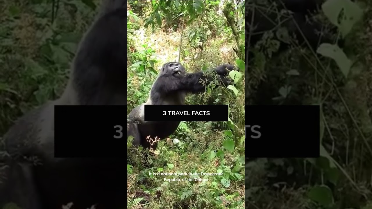 3 Travel Facts: Virunga National Park 