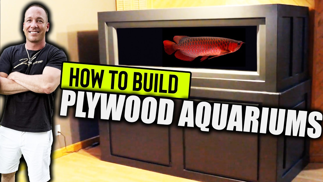 HOW TO build a plywood aquarium  - The king of DIY super edit