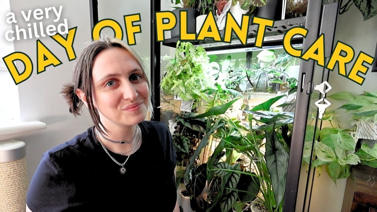 My Daily Plant Routine 🌿✨ Welcome to the Jungle!