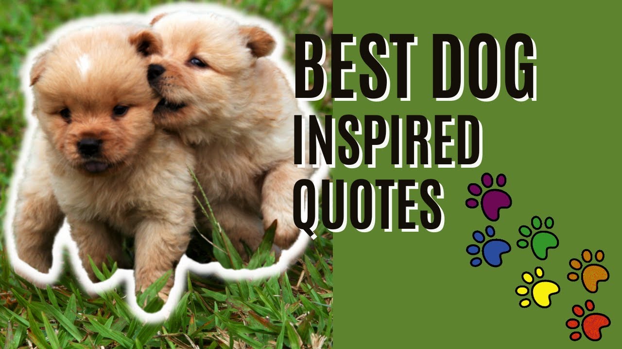 Best Dog Inspired Quotes #quotes #dogs #doglovers