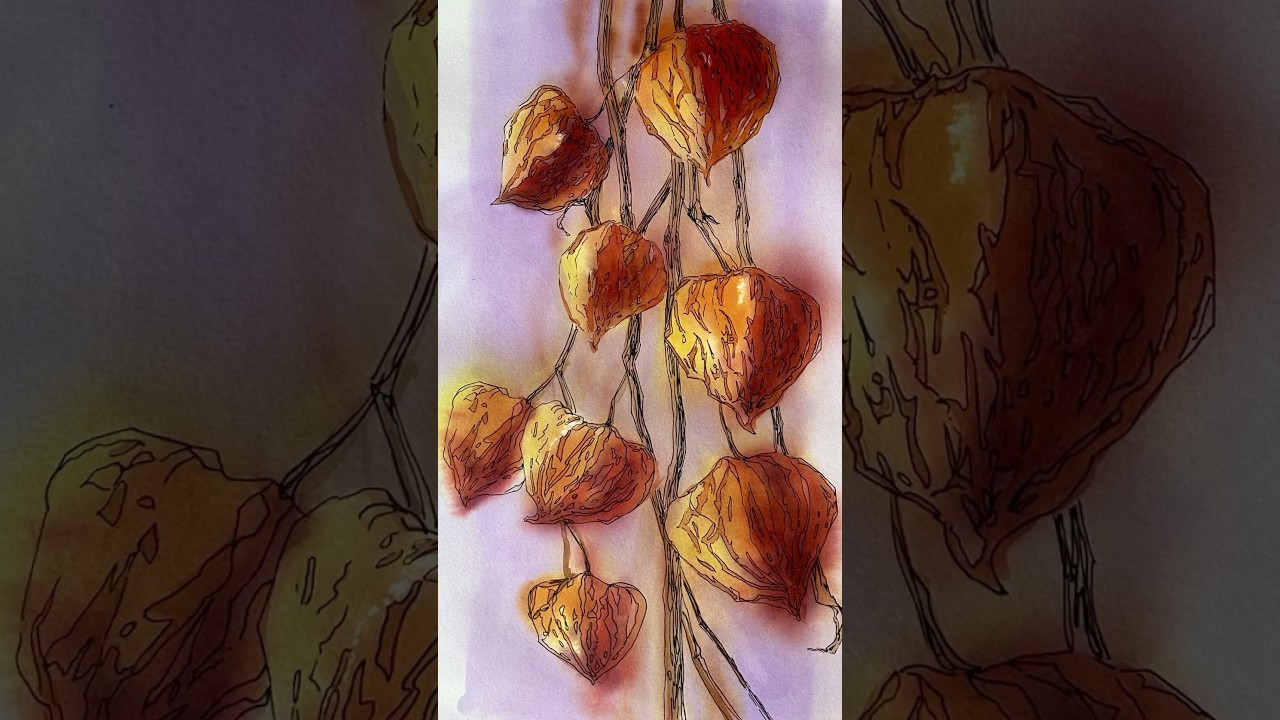 Line and wash watercolor #lineandwash #loosewatercolorflowers #loosewatercolor #micronpen #sketch