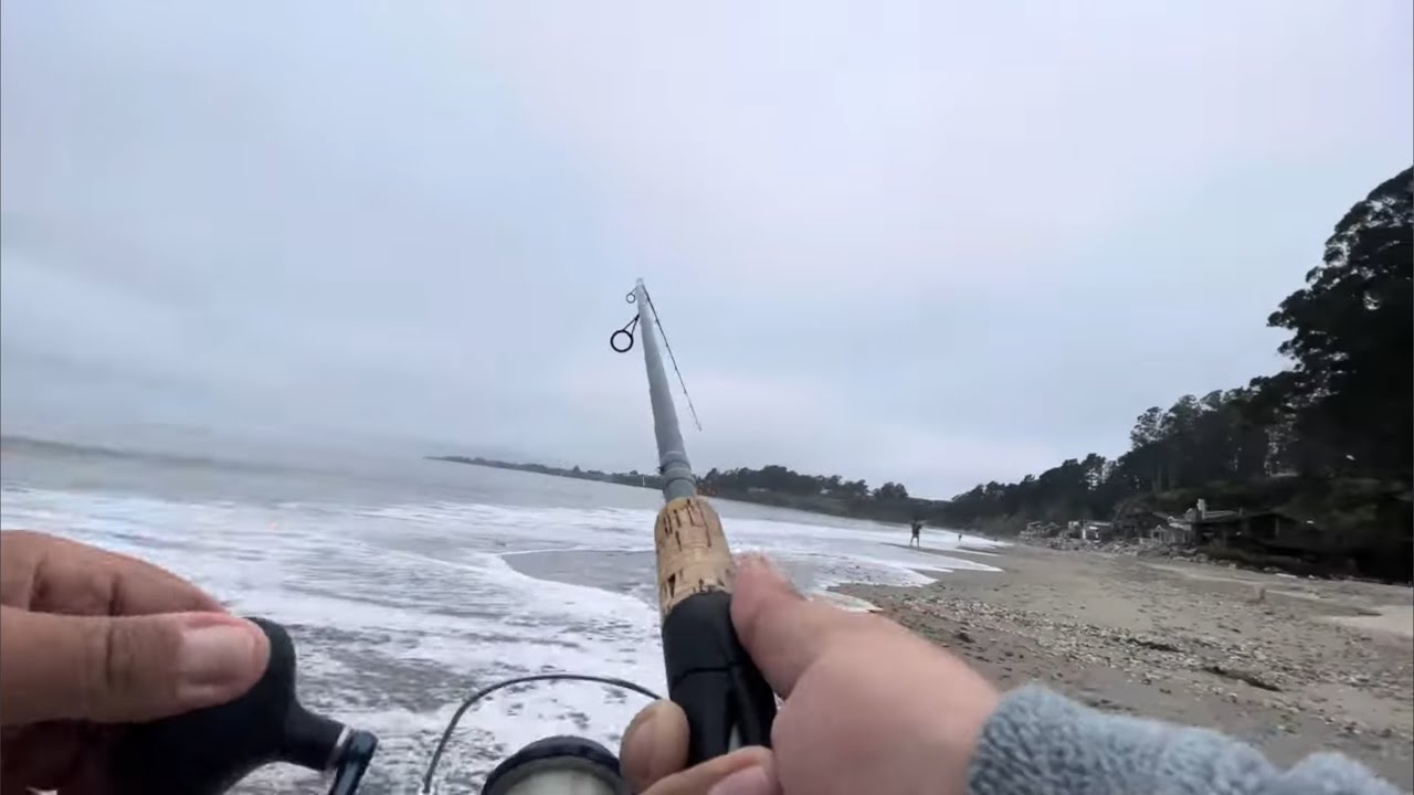 HUGEST SURF PERCH…Fishing with Dad
