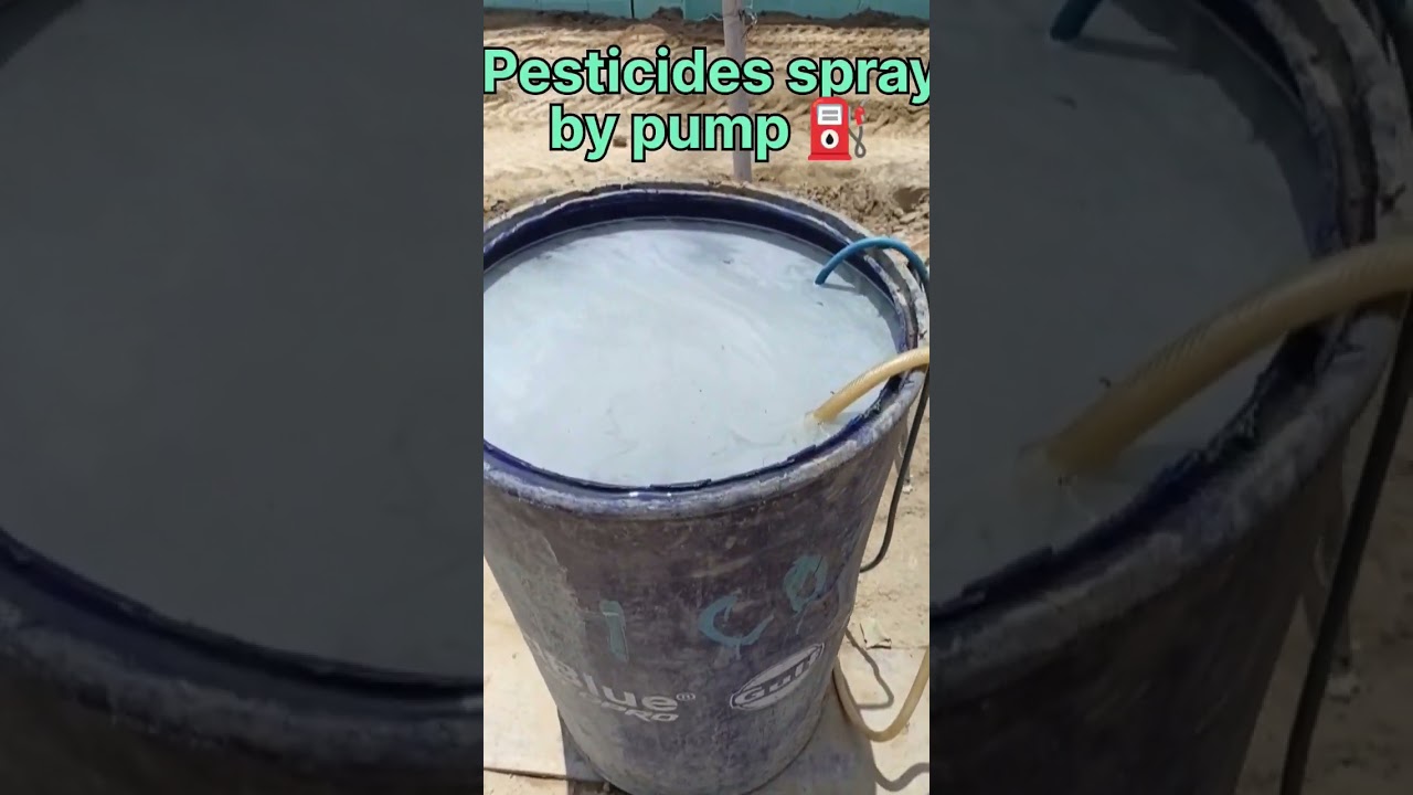 pesticides work at basement area #shorts #pestcontrol #pestiside #premise #antitermite #termites