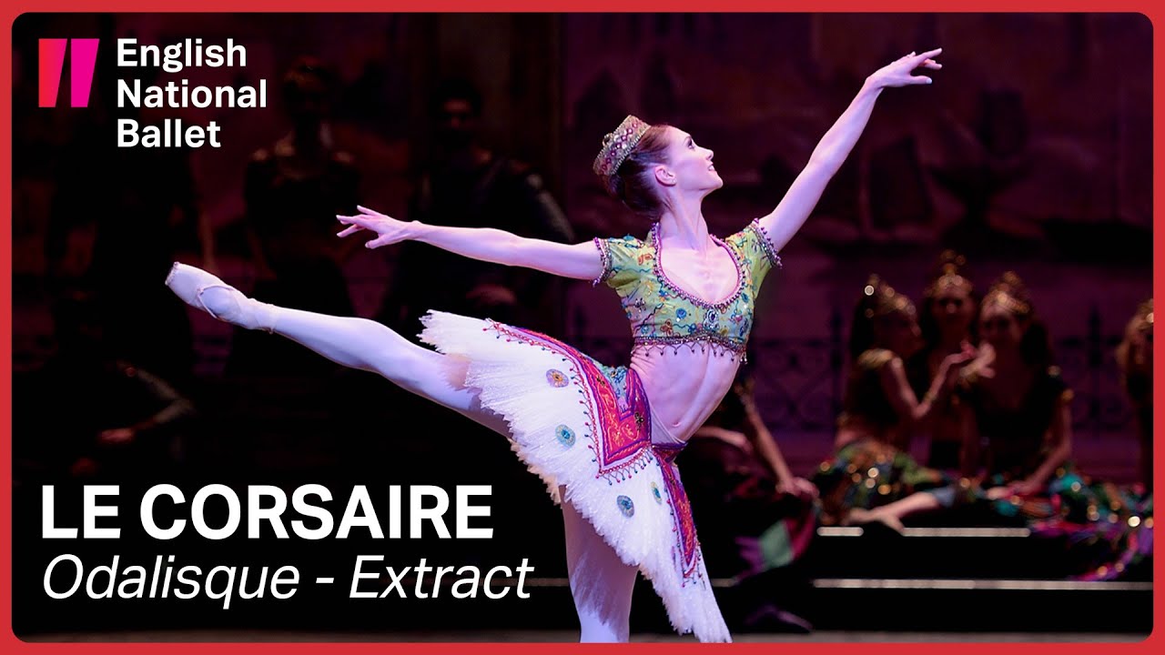 Le Corsaire: Odalisque with Alison McWhinney (extract) | English National Ballet