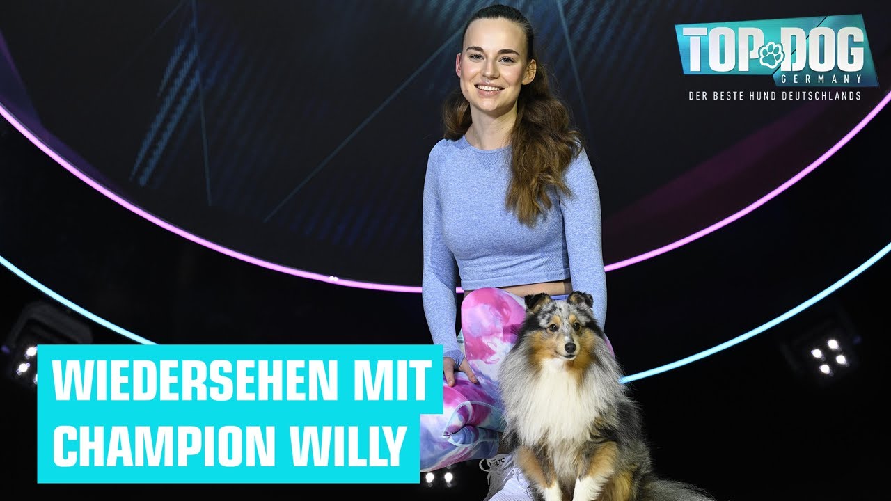 Wie schlägt sich der amtierende 