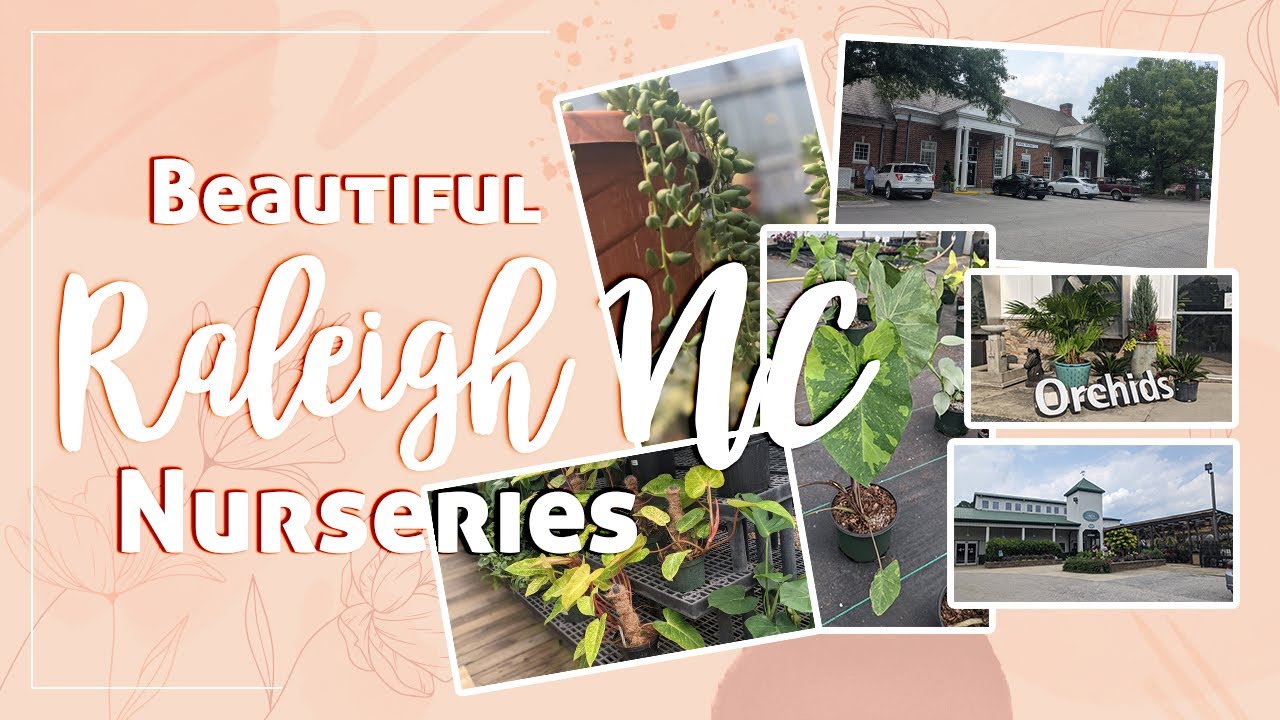 UNCOMMON PLANT NURSERIES  |  Must Visit Nurseries In Raleigh, NC  |  Nursery Tours