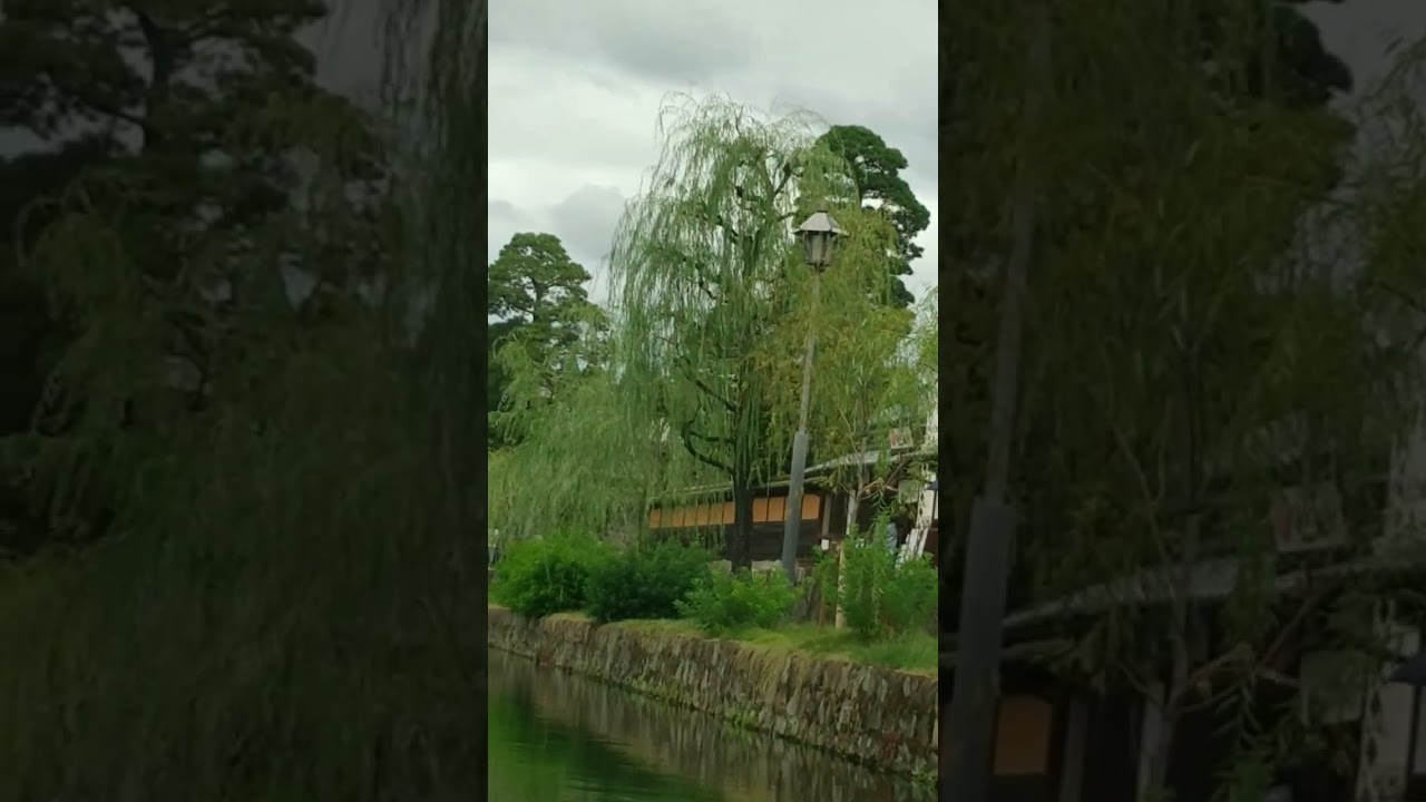 倉敷川舟からの風景９中橋から上流へ#倉敷考古館#旅館つるがた#川舟流し#倉敷美観地区