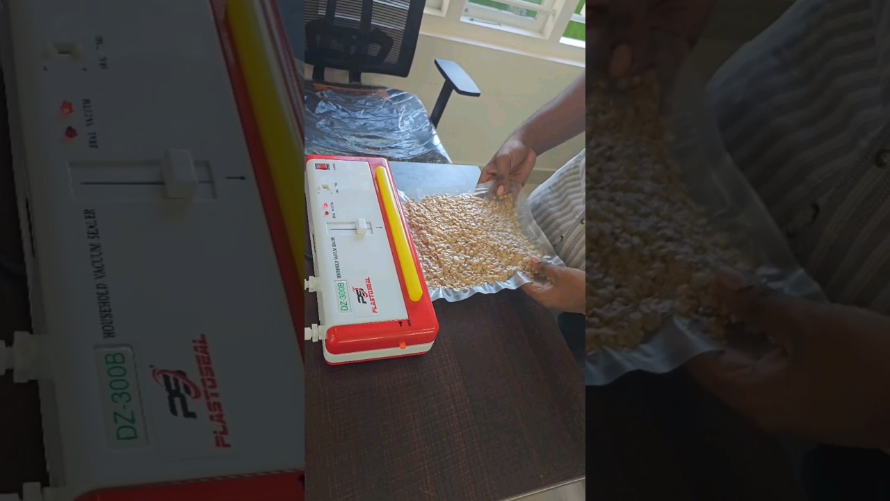 How to Use a Mini Vacuum Sealer for Millet Packing | Household vaccum sealer DZ 300 B #vaccumpacking