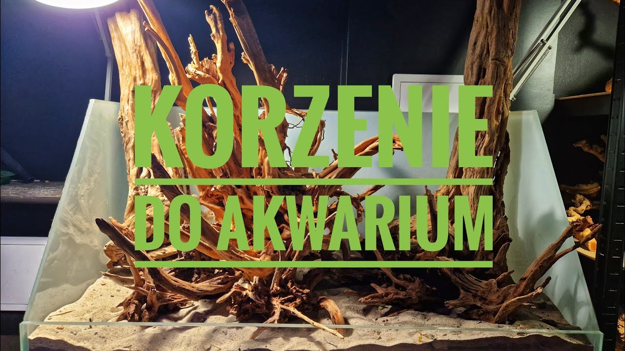 Korzenie do akwarium - jak używać?