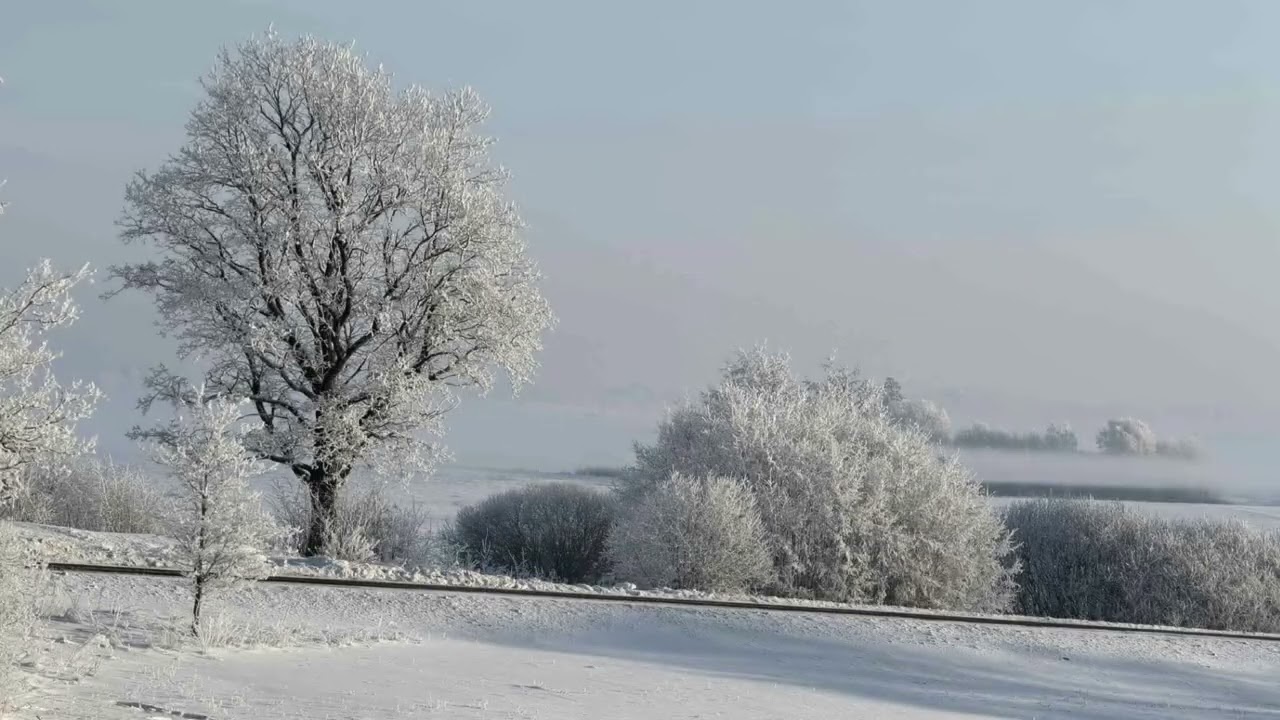 O Dieve, sergėk tėvų žemę (tekstas, natos). Nr. 409. Malda už Tėvynę