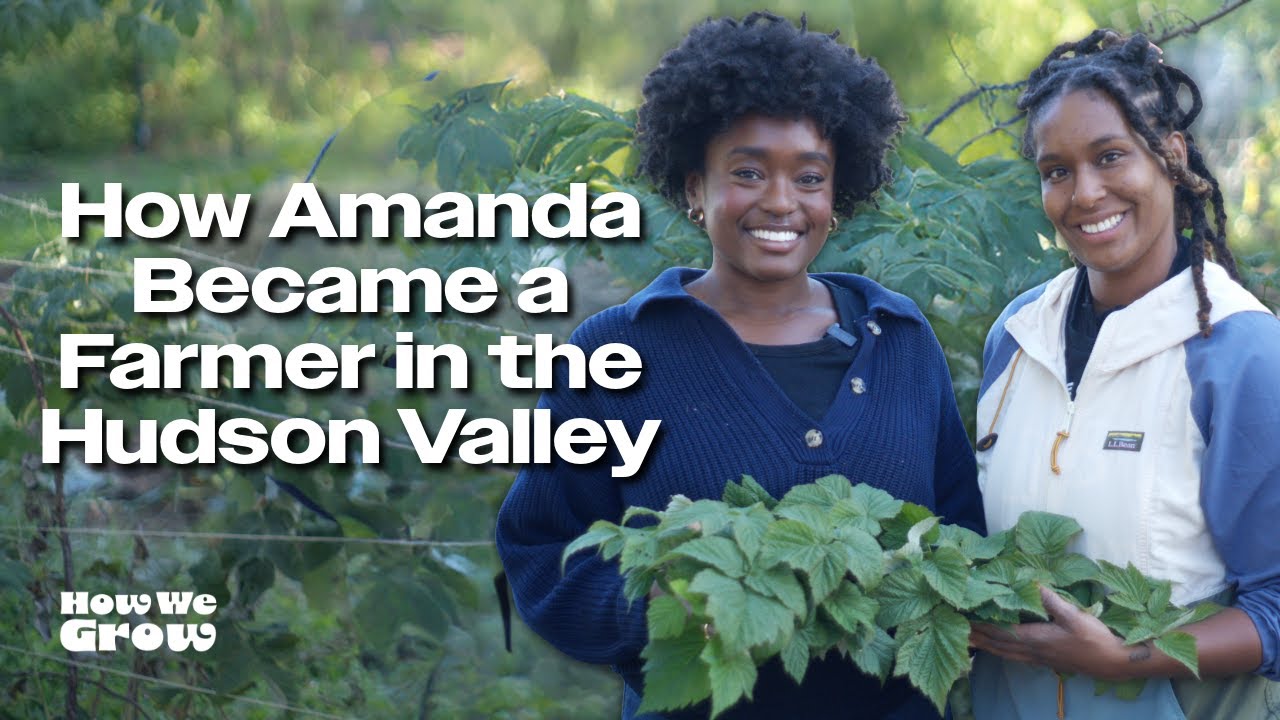How Amanda Became a Farmer in the Hudson Valley