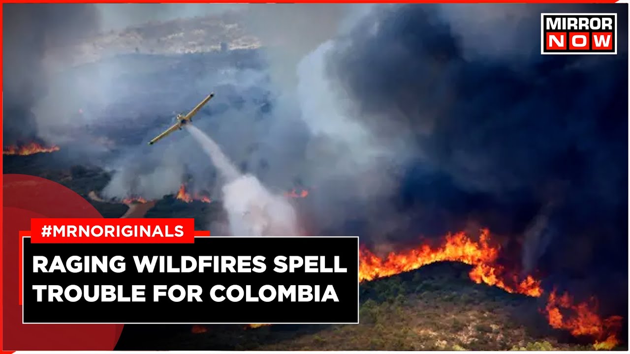 Colombia Wildfire | Wildfires Burn Across Colombia | World News | English News