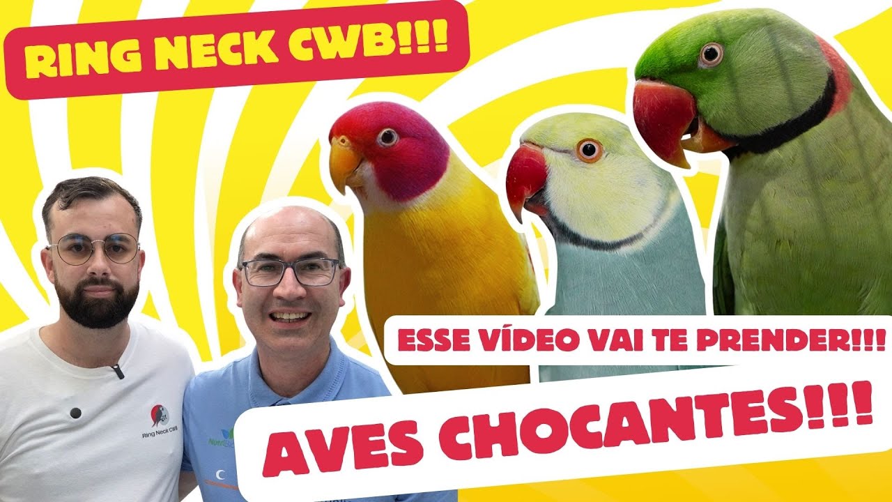 FIQUEI DESLUMBRADO!!!CABEÇA DE AMEIXA E RINGS DE MUTAÇÕES CARAS!!!