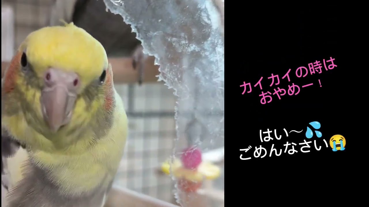#49『ツギハギpart２』