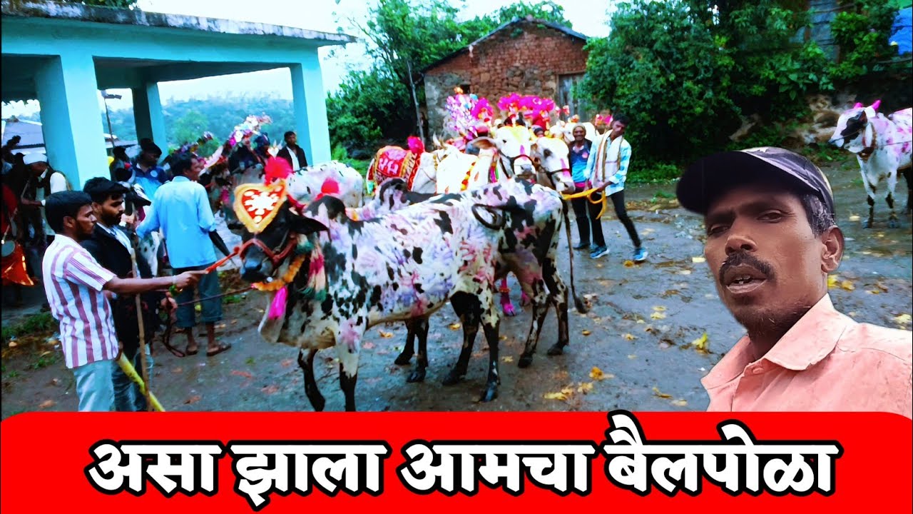 असा झाला आमचा बैल पोळा/ram aditya marathi blog 