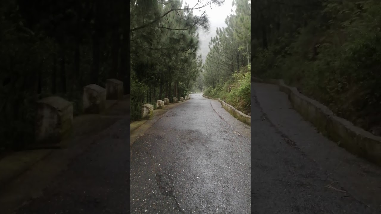 Rain day mingora swat