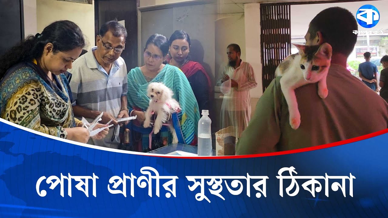 পোষা প্রাণীর সুস্থতার ঠিকানা, কেন্দ্রীয় ভেটেরিনারি হাসপাতাল | Animal Care | Kaler Kantho