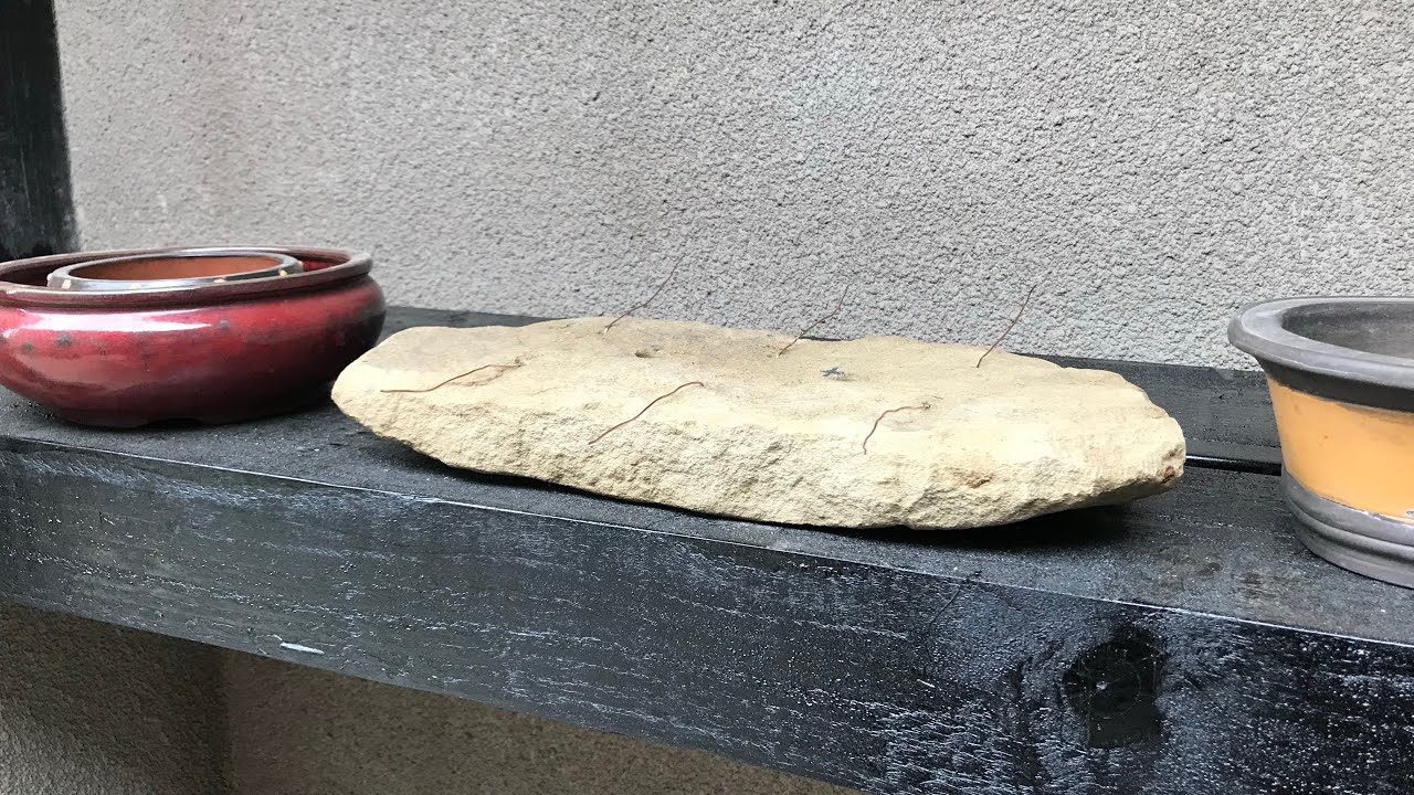 How to create a stone bonsai slab