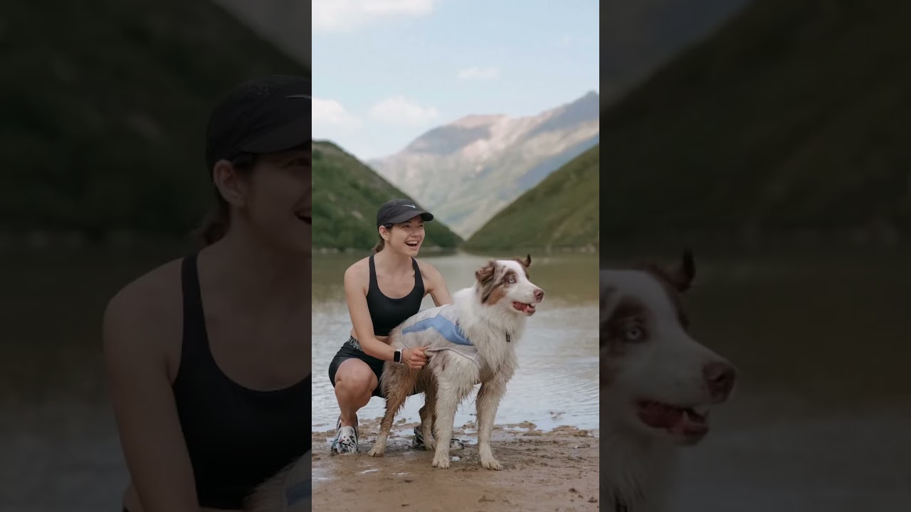 мы &mdash; собачий тур-оператор🐶 есть собакен, подпишись!) #dog #mountains #travel #adventure #hiking