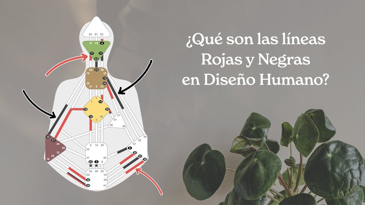¿Qué son las líneas Rojas y Negras en Diseño Humano?