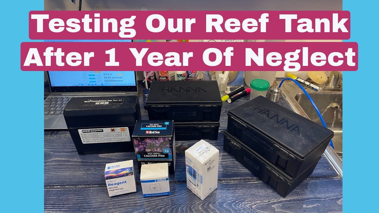 Testing Alkalinity And Calcium On Our Neglected Reef Tank - One Year Later (Future Plans Also)