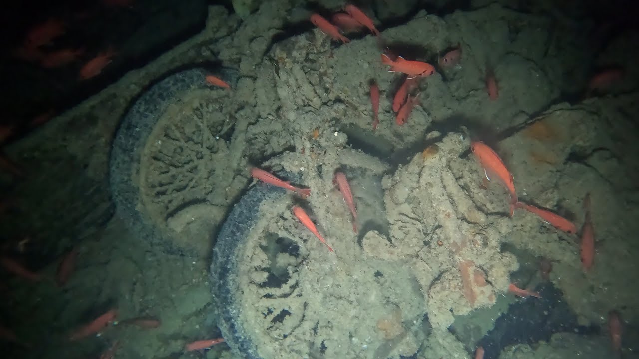 Red Sea Diving Day 9 - Thistlegorm