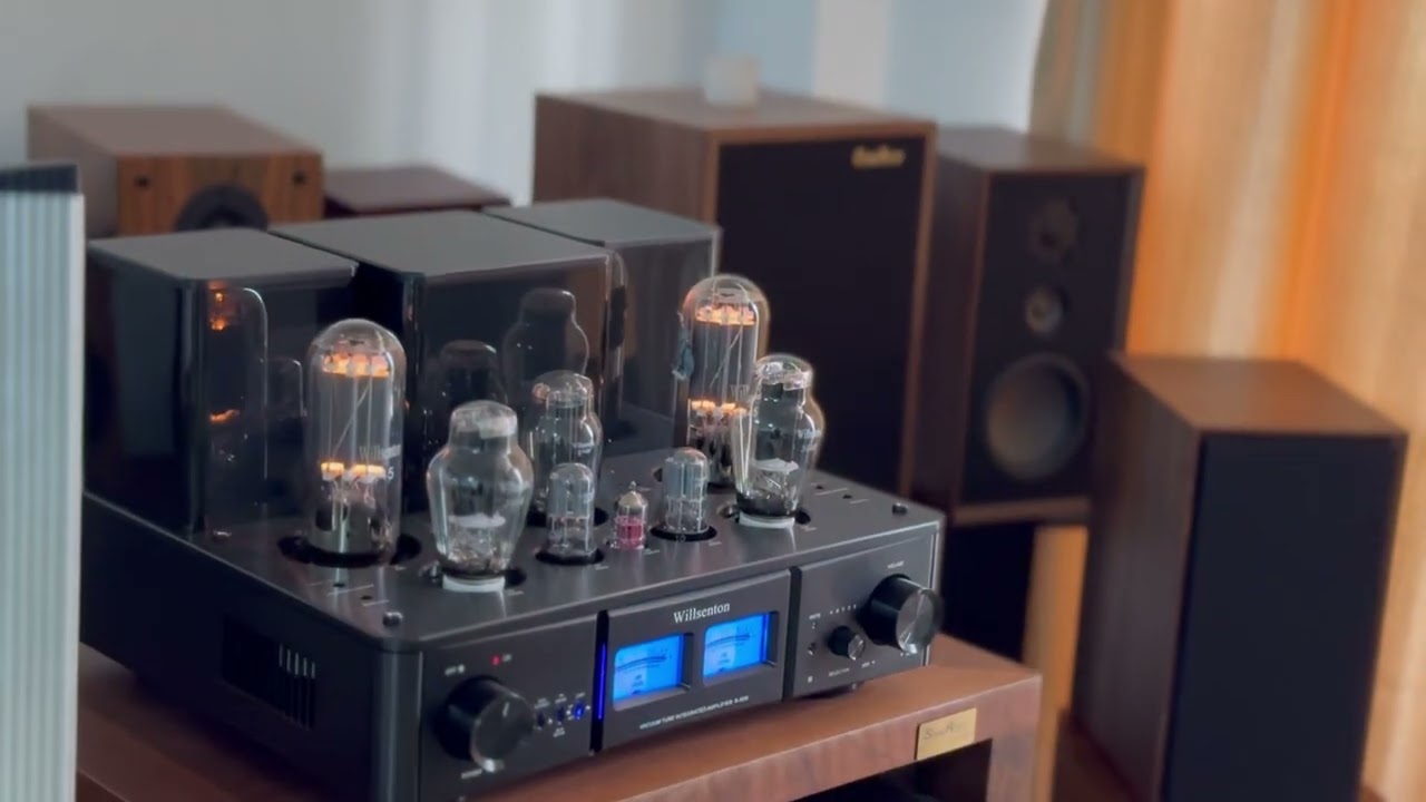 #music Willsenton series all black combination🤩R800i ➕R11#audiophile #youtubeshorts 