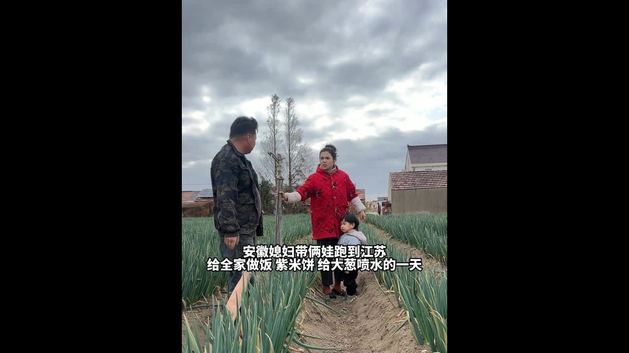 给大葱喷水啦 #我的农村生活 #记录真实生活 #在地里干农活也是一种快乐 #田间地头的快乐 #日常