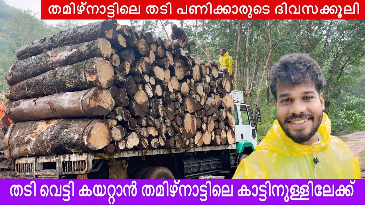 Thadi lorry Tamilnadu | തടി കയറ്റാൻ തമിഴ്നാട്ടിലെ കാട്ടിനുള്ളിലേക്ക് | Timber truck | Aneesh ibuddy