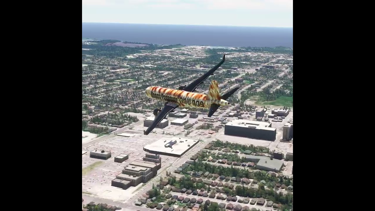 the pilot's actions endangered the plane's passengers EP273