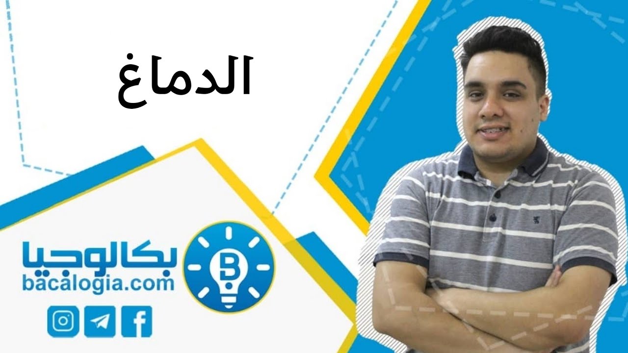 الدماغ من درس الجهاز العصبي مع الدكتور جلال عكيل