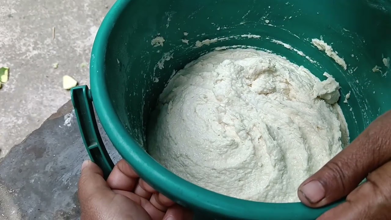 আজকে পেঁপে দিয়ে বড়ি দিলাম 
