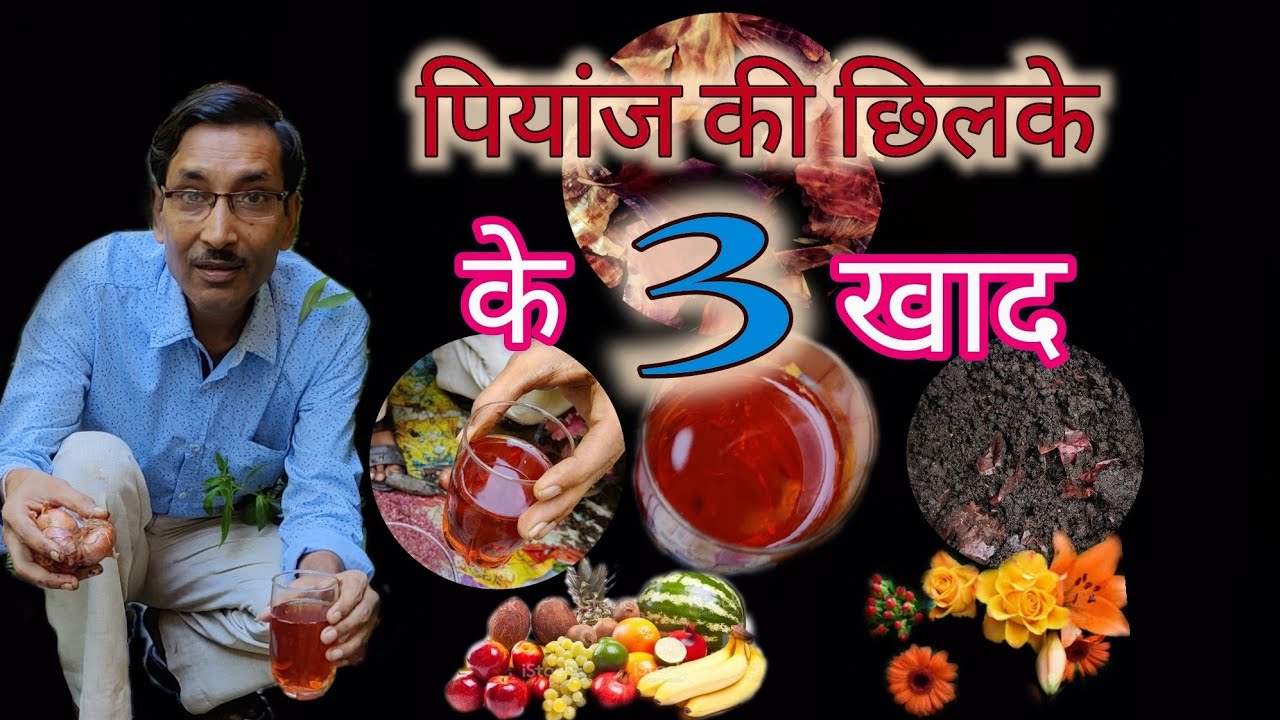 पियांज के छिलके से बना जबरदस्त 3 खाद,जो आपके पौधों को फूल और फलों से भर देंगे | Onion  Fertilizer