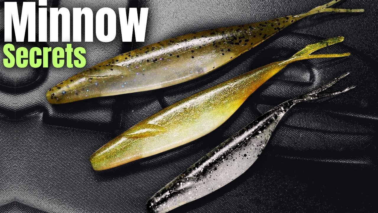 Advanced MINNOW Fishing (STROLLING) From The PROS