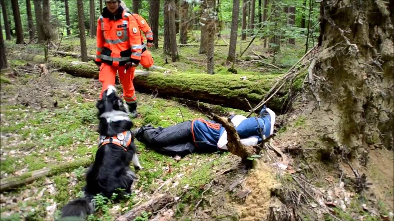BRH Rettungshundestaffel Forchheim Imagefilm
