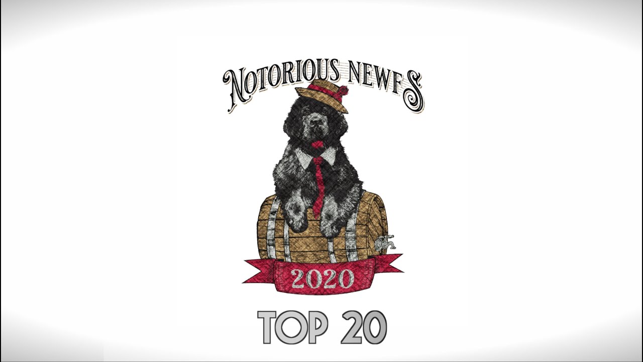 2020 Newfoundland Club of America TOP 20/10 - Notorious Newfs