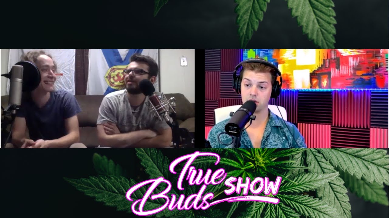 Canada Liquor Stores Sell Weed | Da Kitchen Couch | True Buds Show Podcast Clips